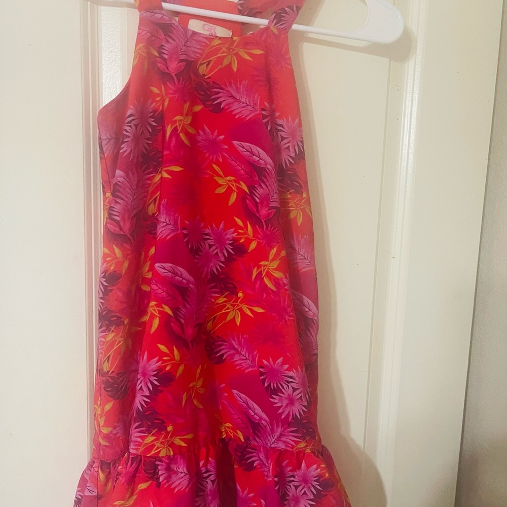 GB Girls Red and Purple Floral Dress